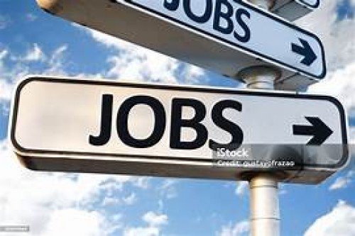 Apply for Receptionist & Accountant Jobs in Varanasi withQalp Educare